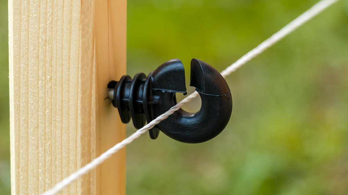 Informazioni generali sui sistemi di recinto elettrico...