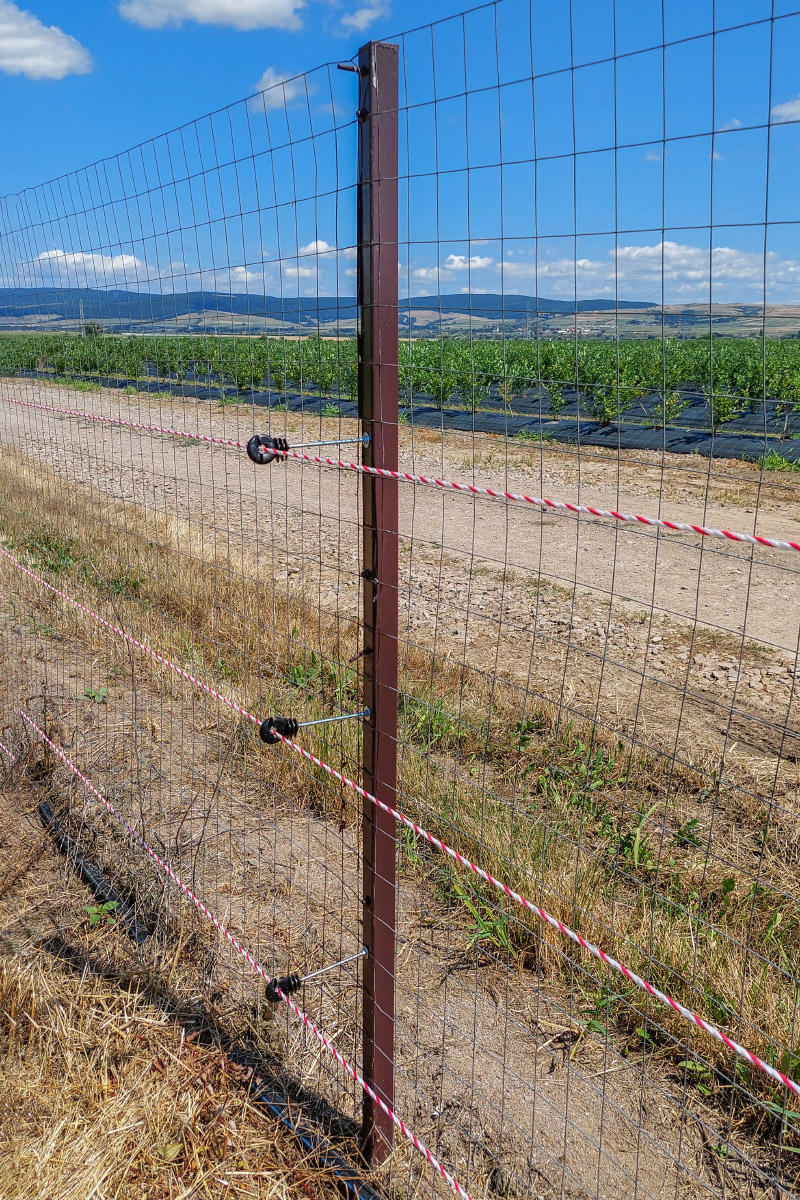 Montaggio degli isolatori lunghi sul palo