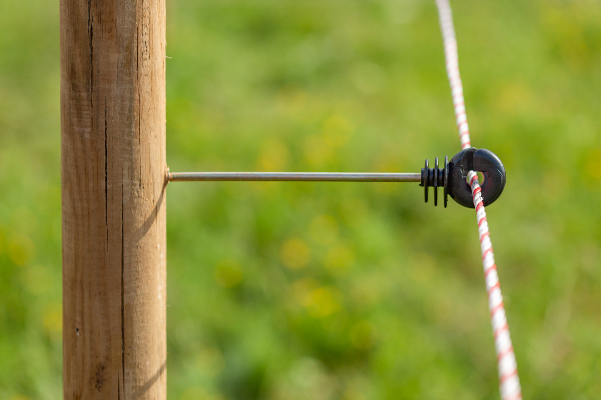 Isolatore con fissaggio a vite da legno