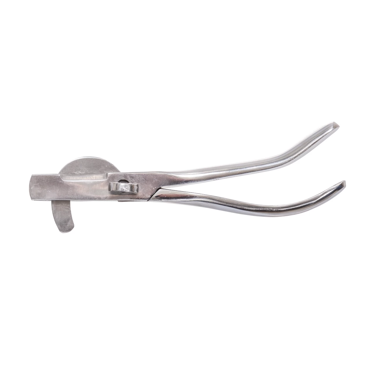 Pinza per castrazione per maialini, 19 cm