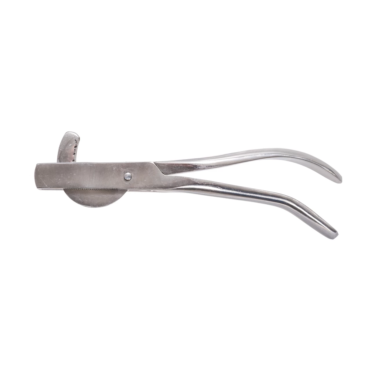 Pinza per castrazione per maialini, 19 cm