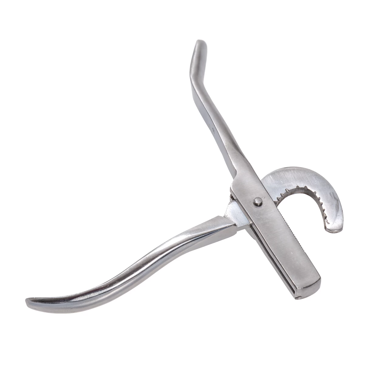 Pinza per castrazione per maialini, 19 cm