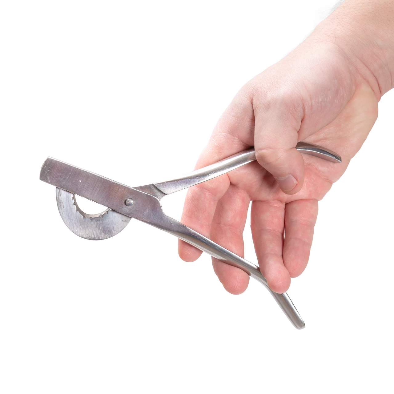 Pinza per castrazione per maialini, 19 cm