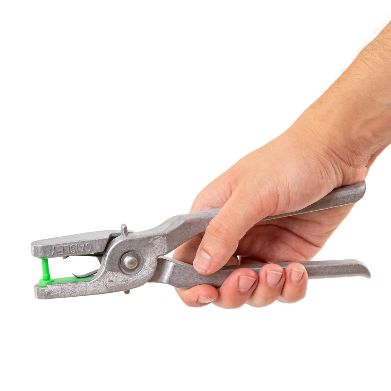 Marchi auricolari per agnelli e capretti, Twintag, verde, 51-100