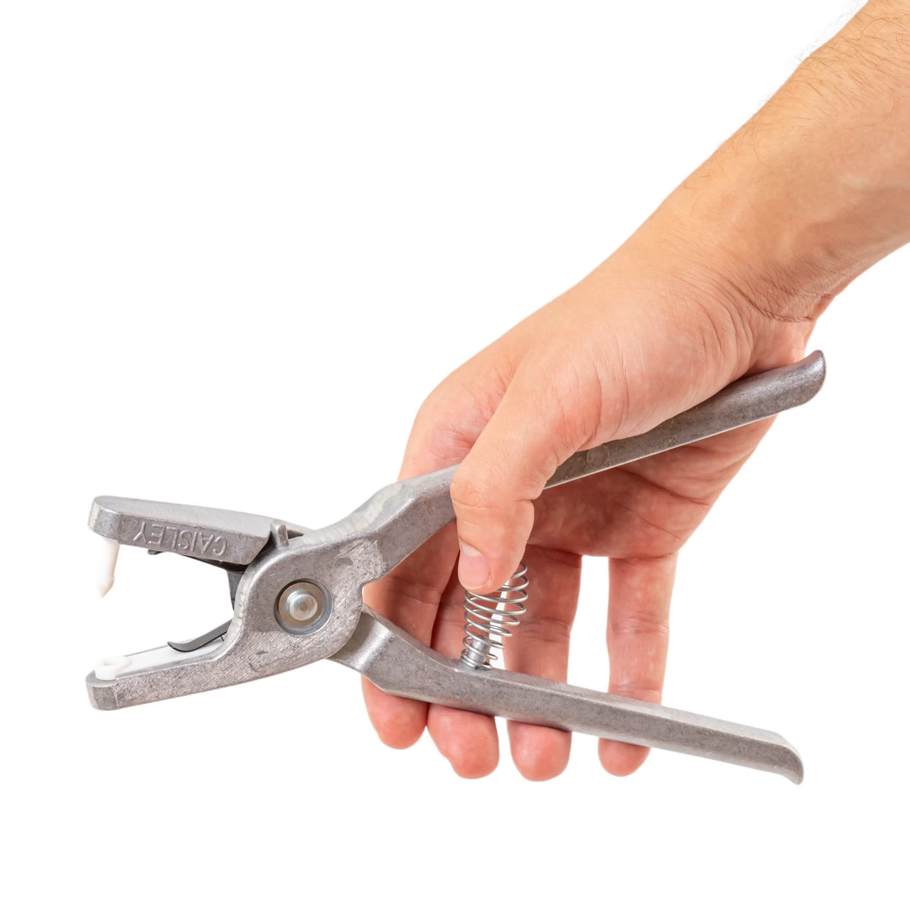 Marchi auricolari per agnelli e capretti, Twintag, bianco, 101-150
