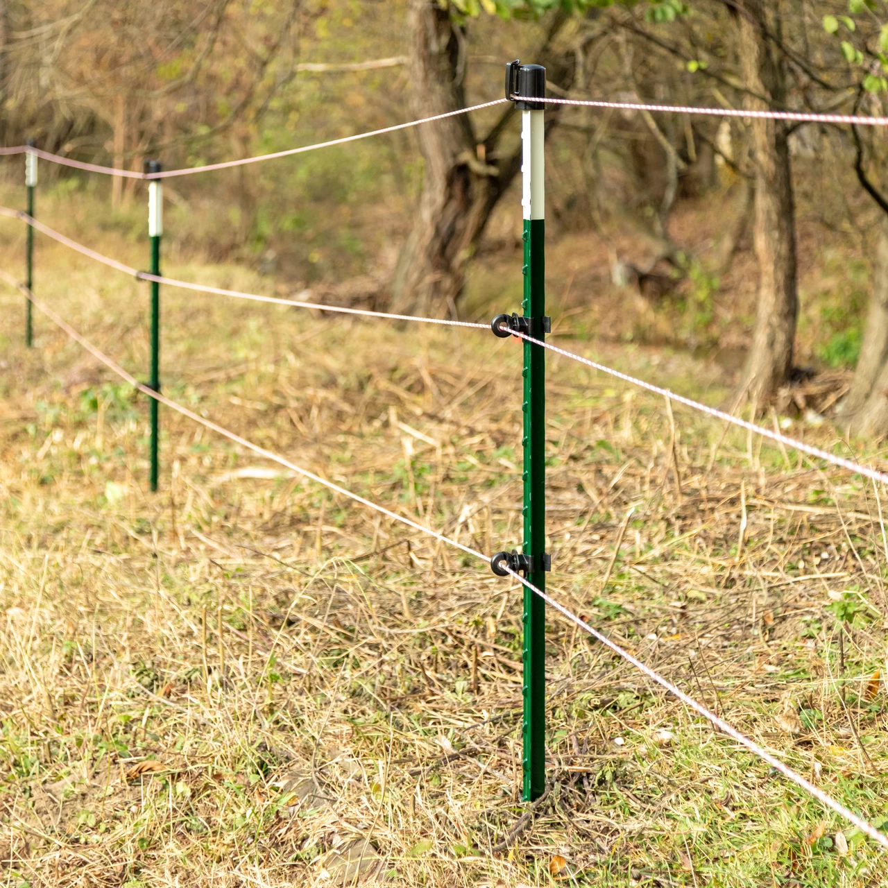 Palo metallico T-post, 213 cm
