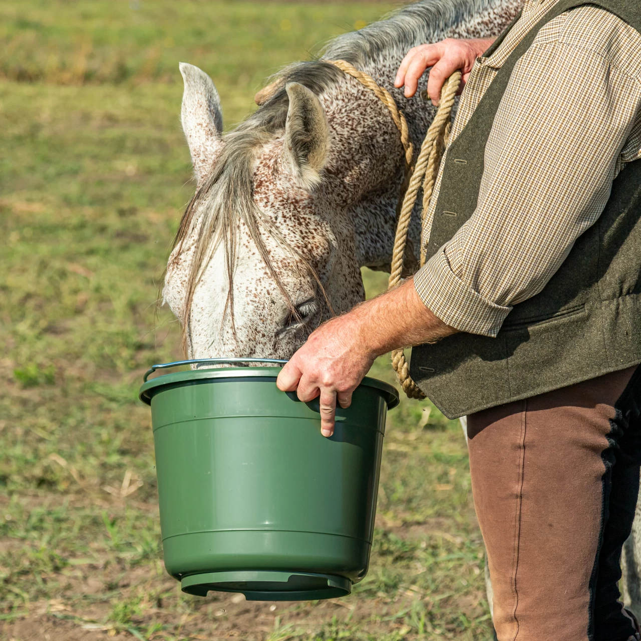 Secchio di stalla e alimentazione, 20 litri, verde