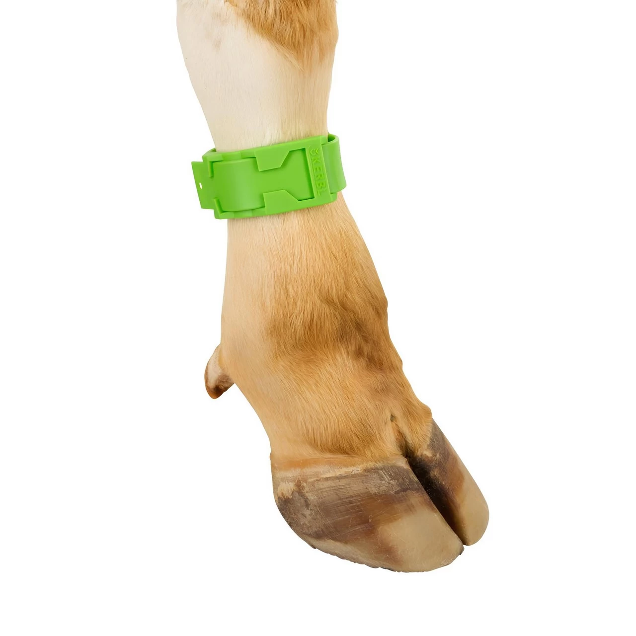 Bracciale a marchio per mucca, plastica, verde