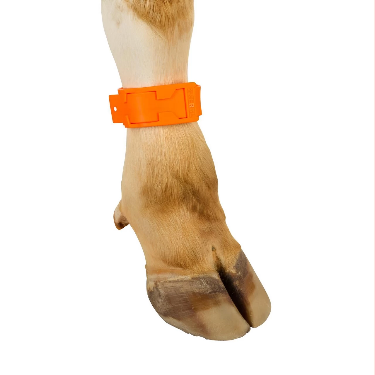 Bracciale a marchio per mucca, plastica, arancione