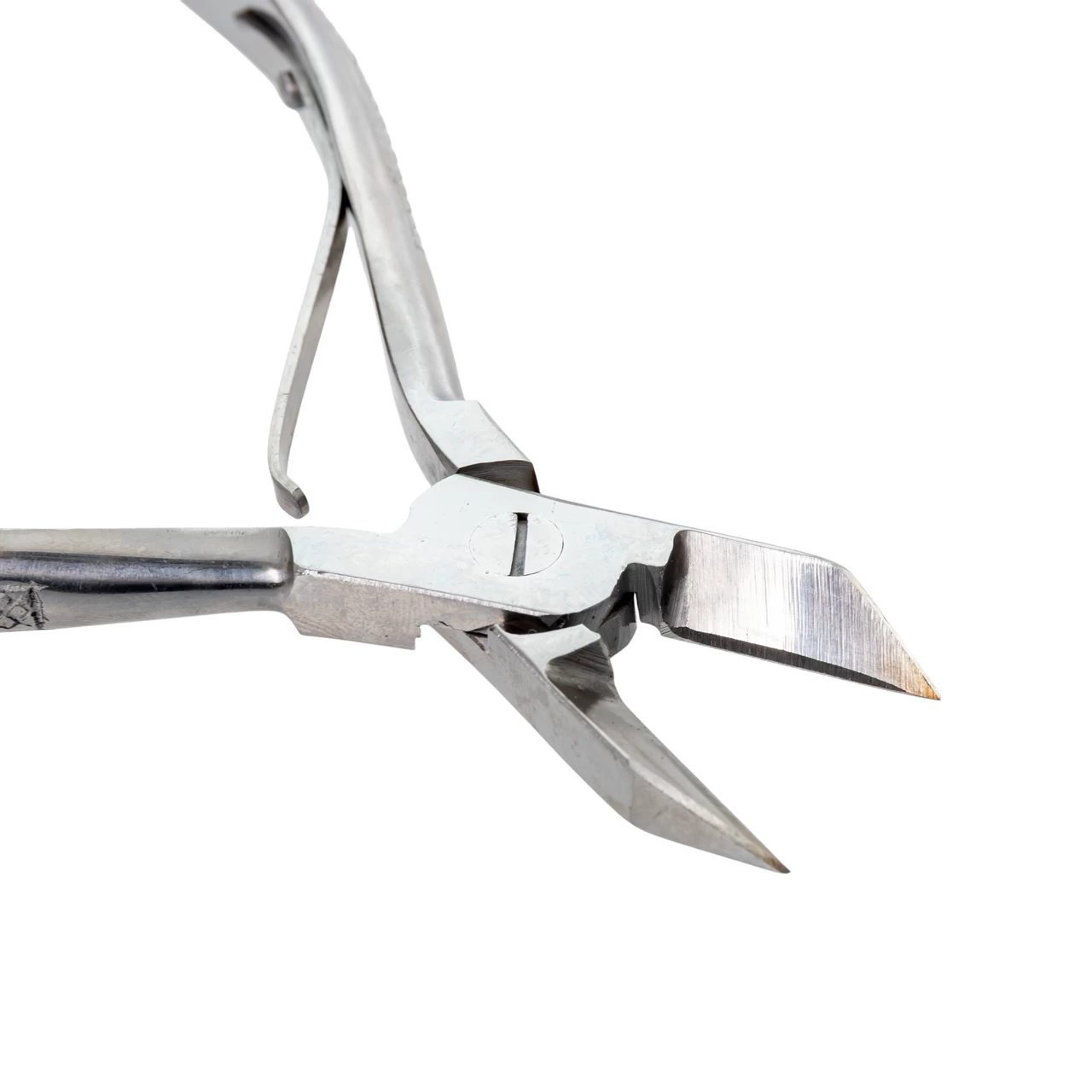 Pinza dentale per il taglio delle zanne dei suinetti neonati