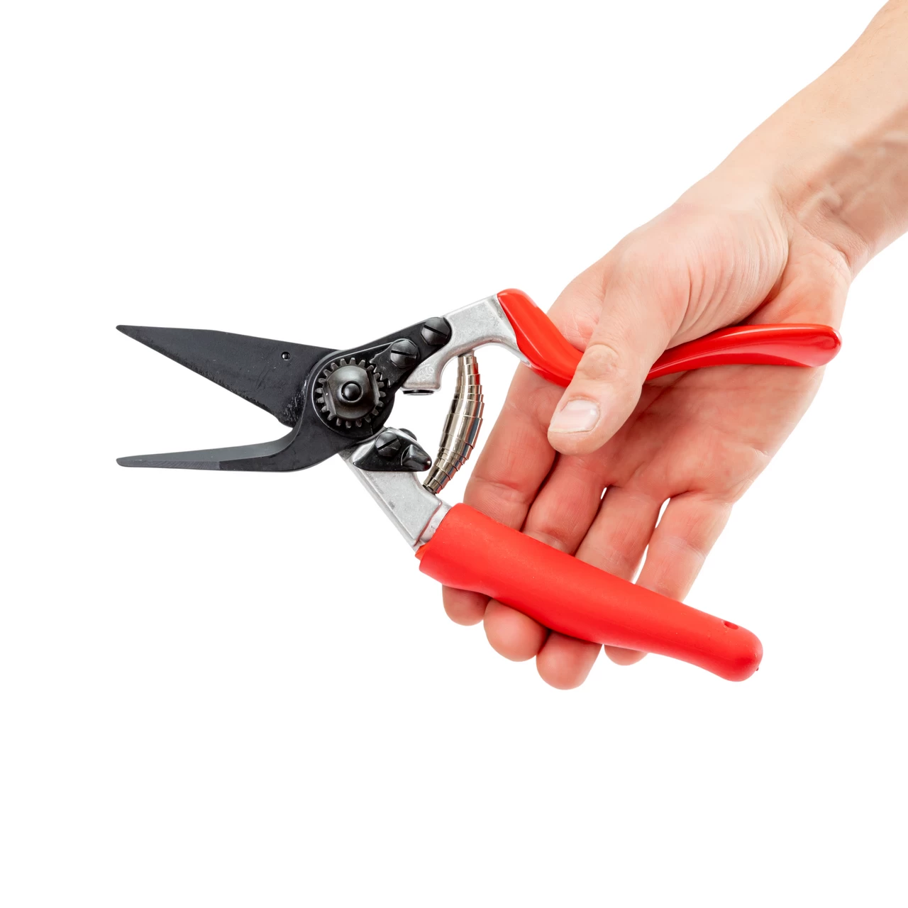 Cesoie per il taglio dei zoccoli delle pecore e delle capre, Felco 50