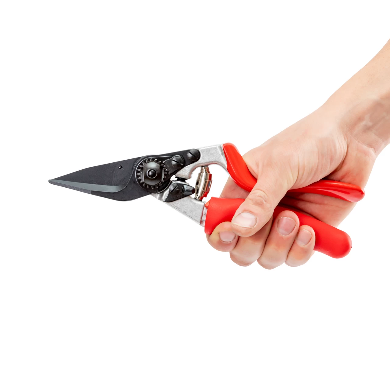 Cesoie per il taglio dei zoccoli delle pecore e delle capre, Felco 50