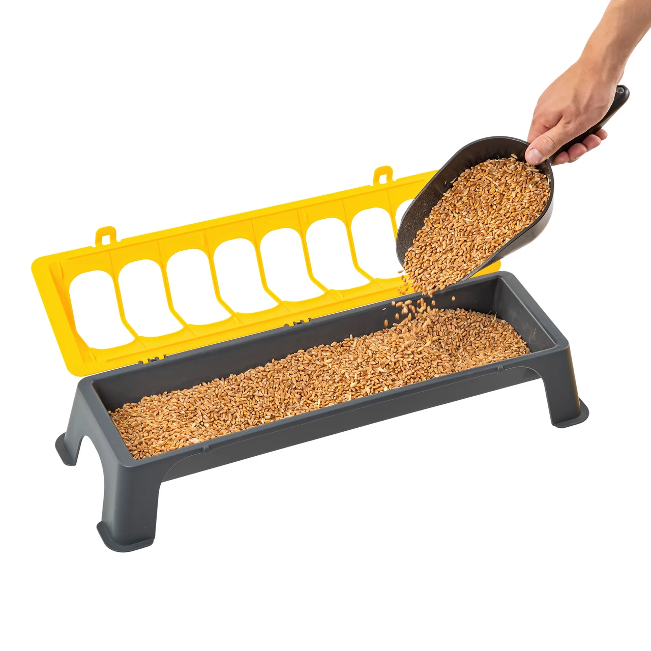 Mangiatoia per polli, plastica, antracite-giallo, 50 cm