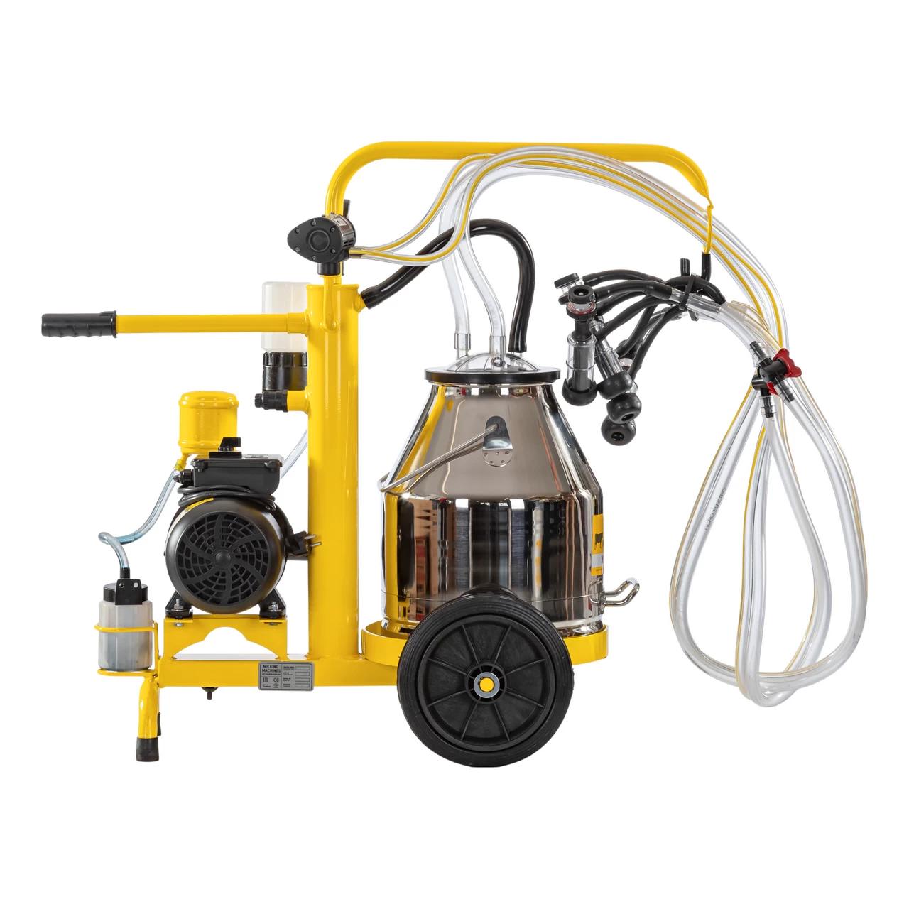 Mungitrice per pecore, 2 posti, 1 bidone acciaio inox 25 litri, eco