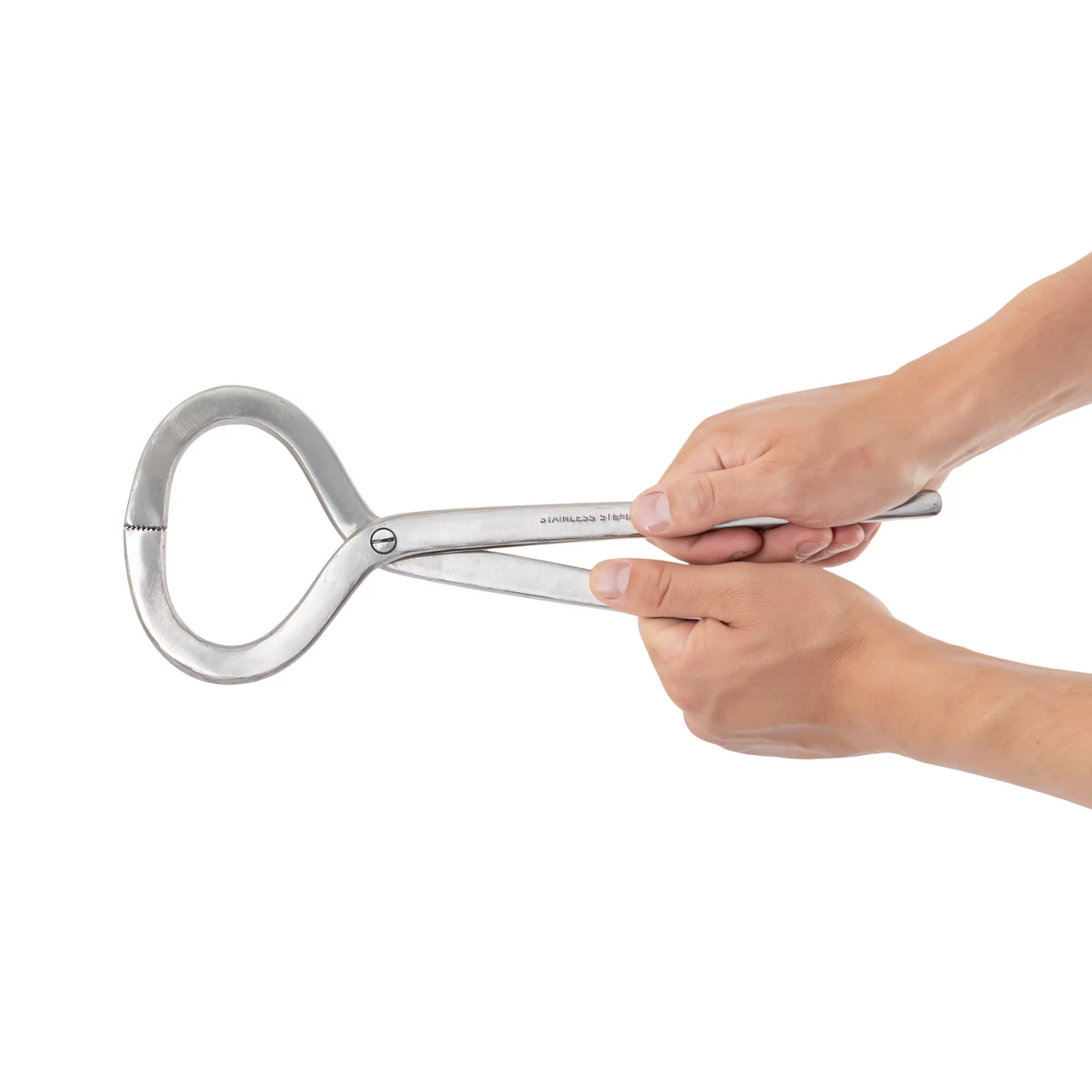 Pinza forgiata per l'esame degli zoccoli, 30 cm