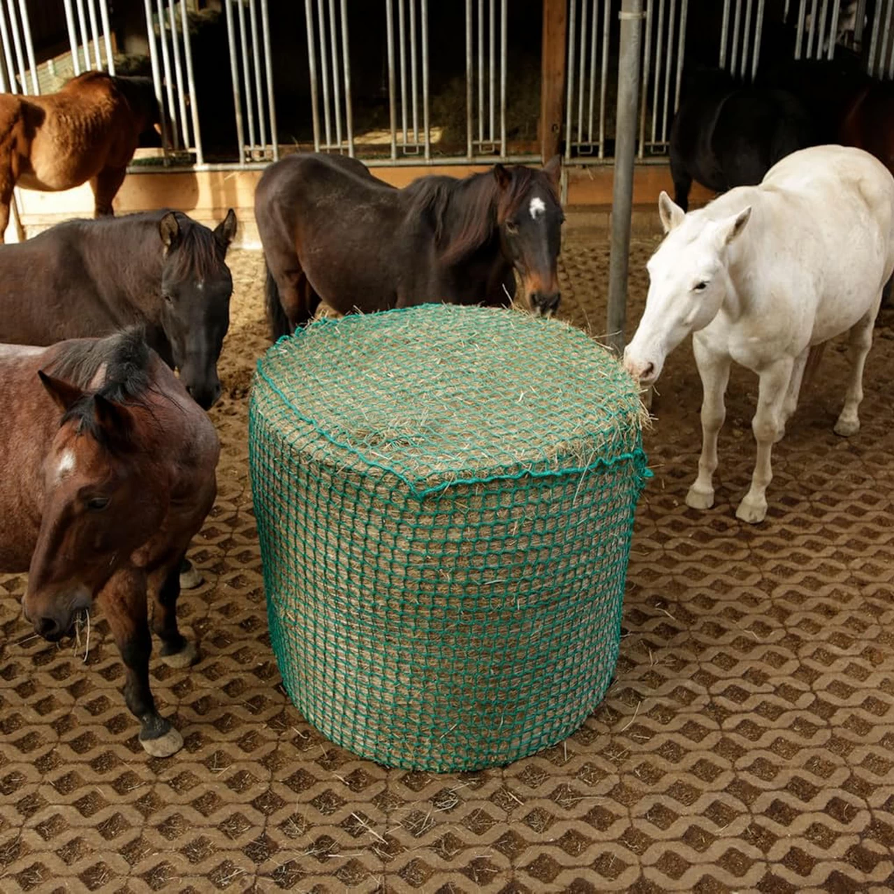 Rete per l'alimentazione dei cavalli, 160 × 160 cm