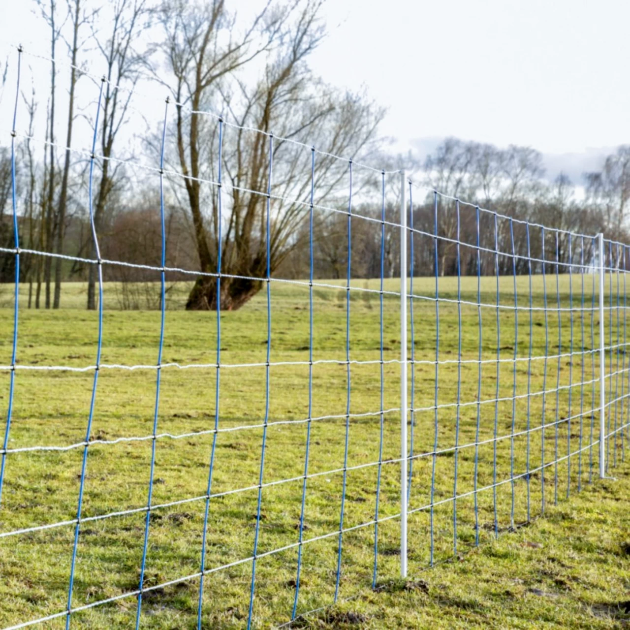 Rete per recinto elettrico, TitanNet, 50 m × 145 cm