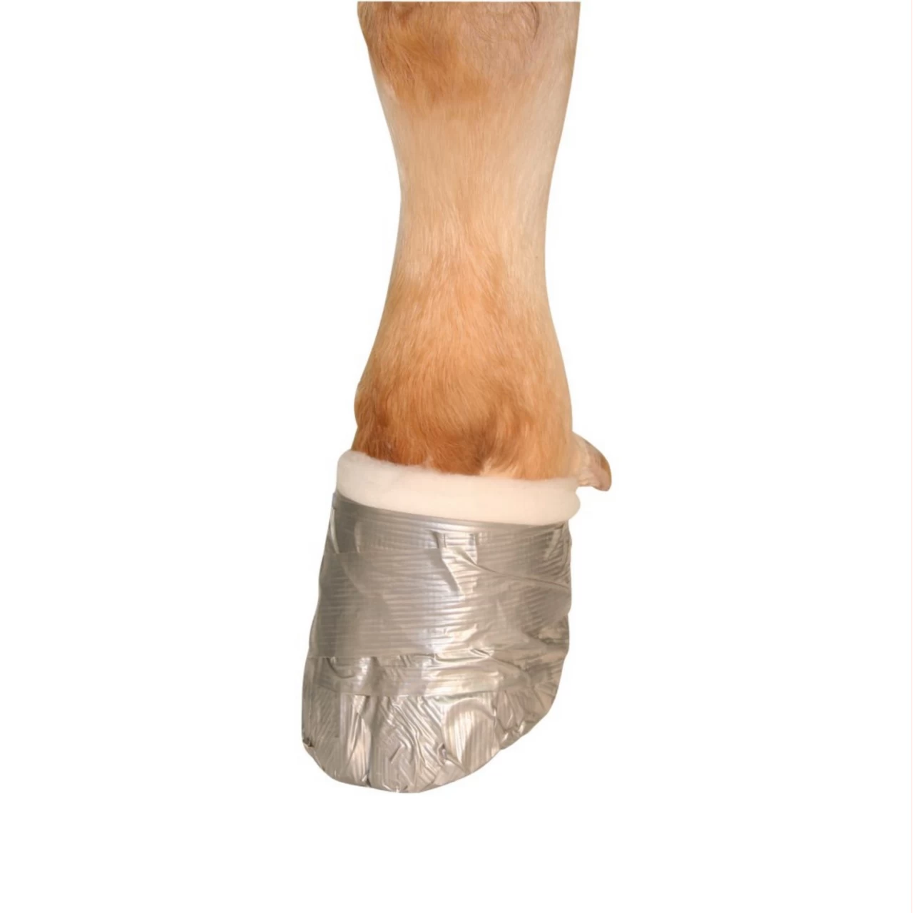 Fascia per zoccoli, colore argento, 50 mm × 50 m