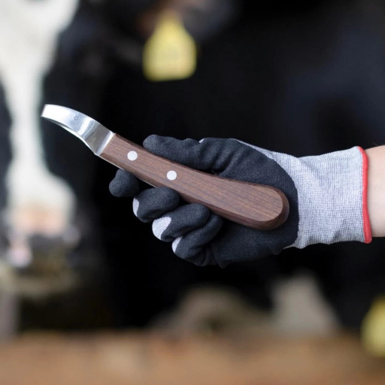 Coltello per zoccoli, ProfiLoop