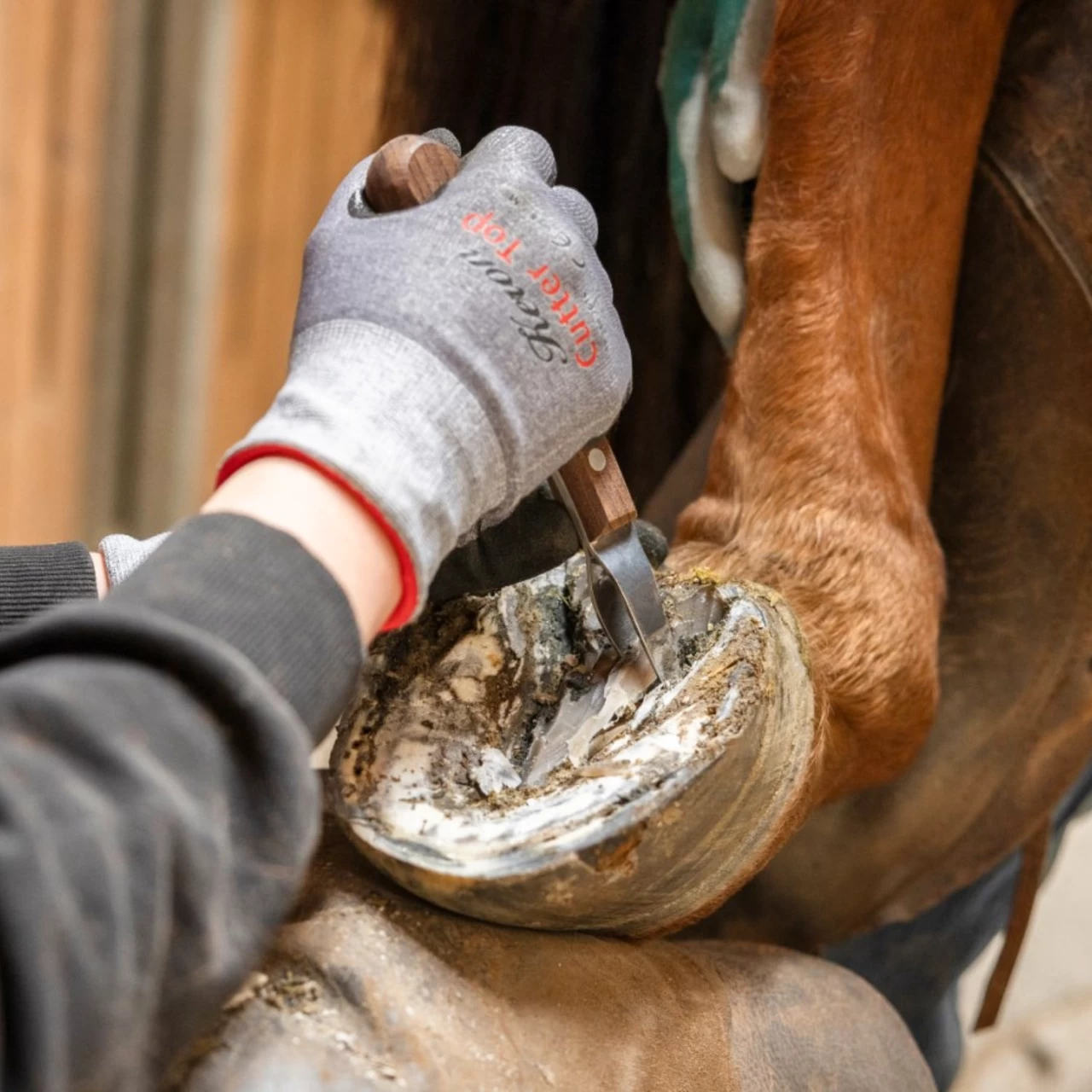 Coltello per zoccoli, ProfiLoop