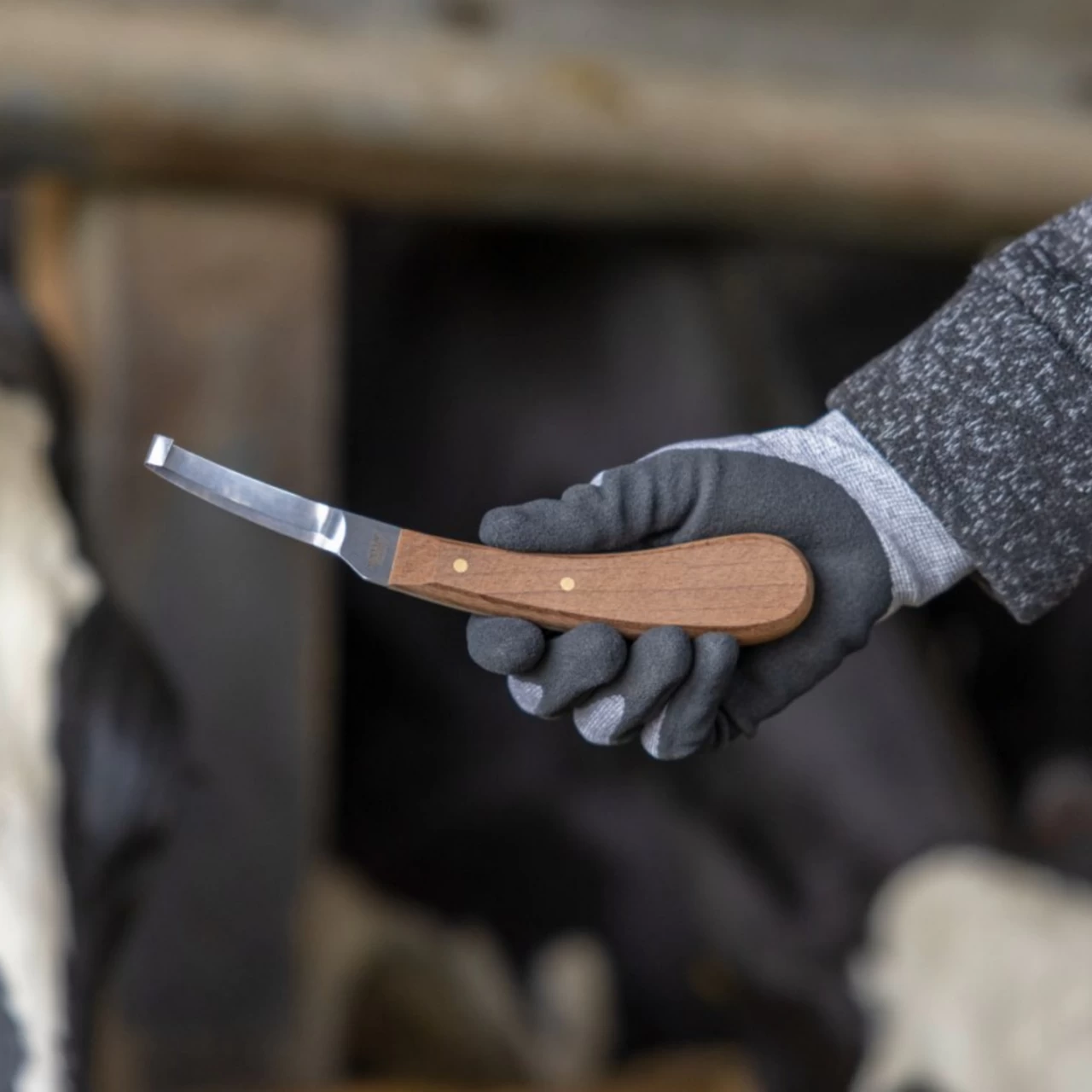 Coltello per zoccoli, a un solo taglio, per destrimani, Aesculap