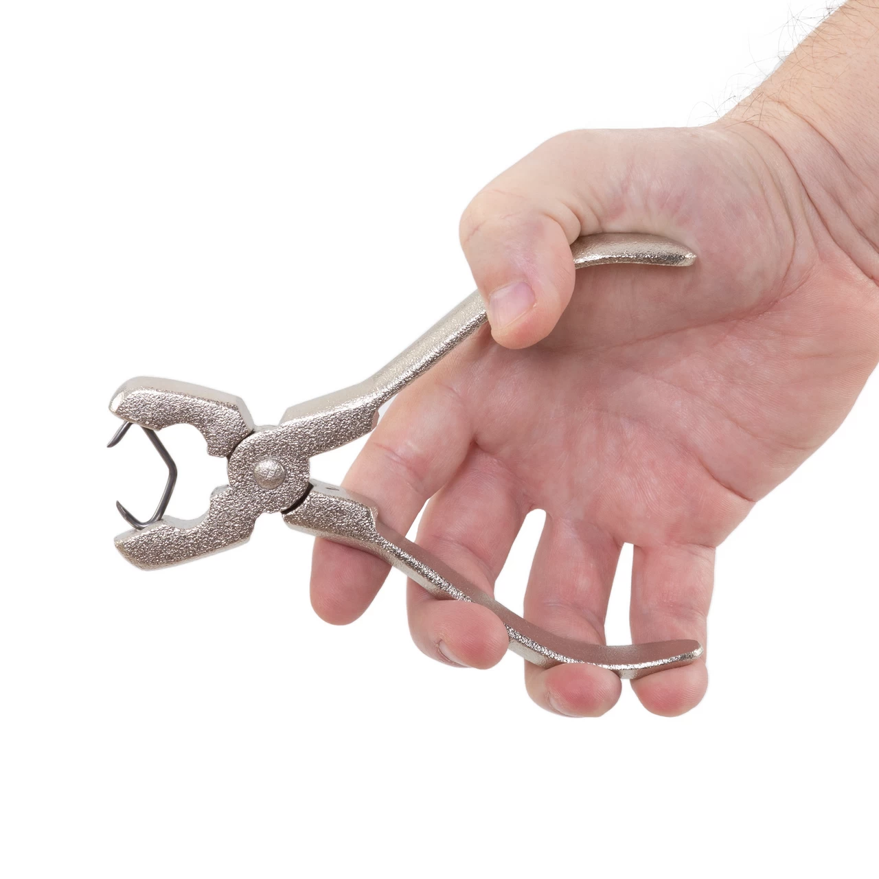 Pinza anelli nasali per suini