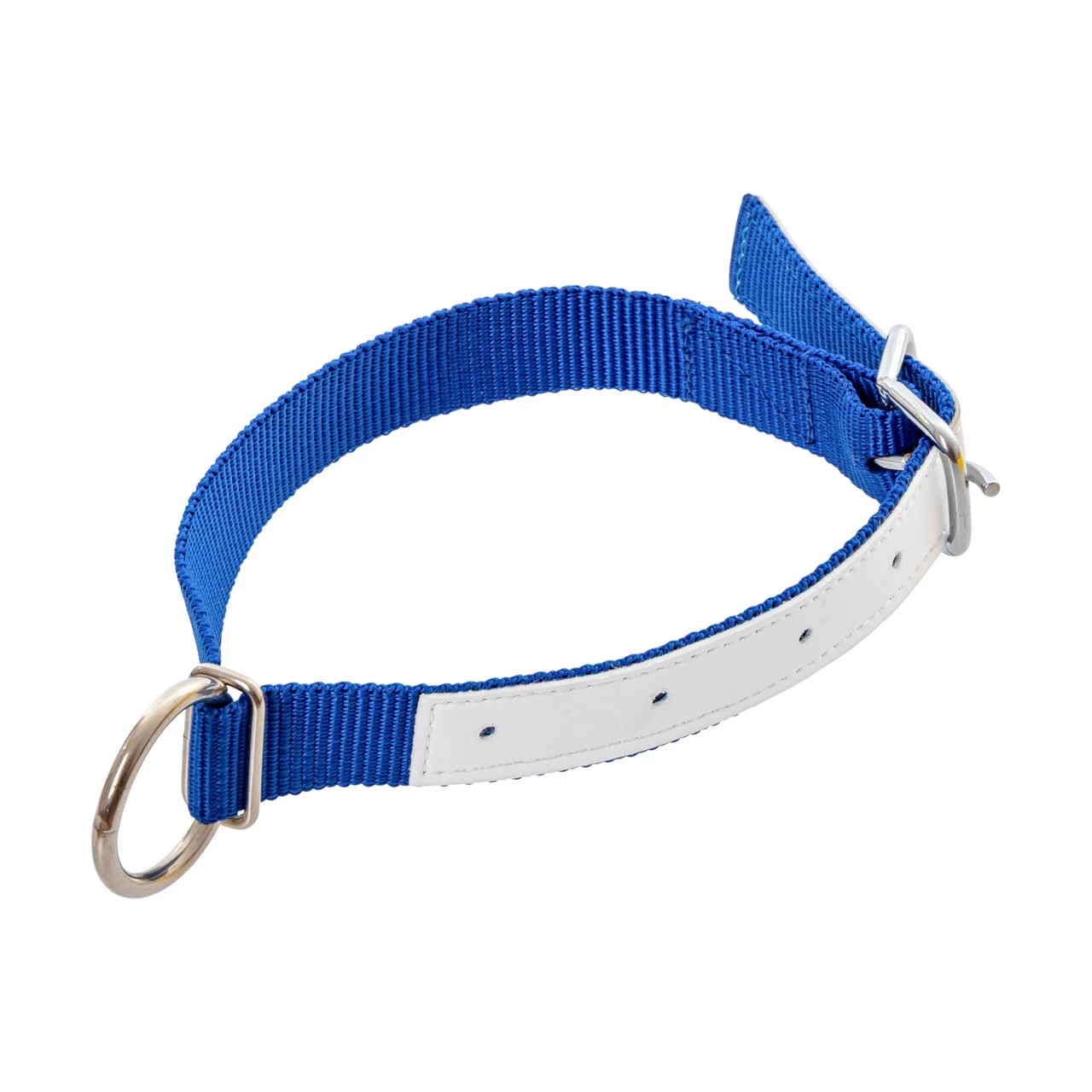 Collare per pecore, blu, 60 cm