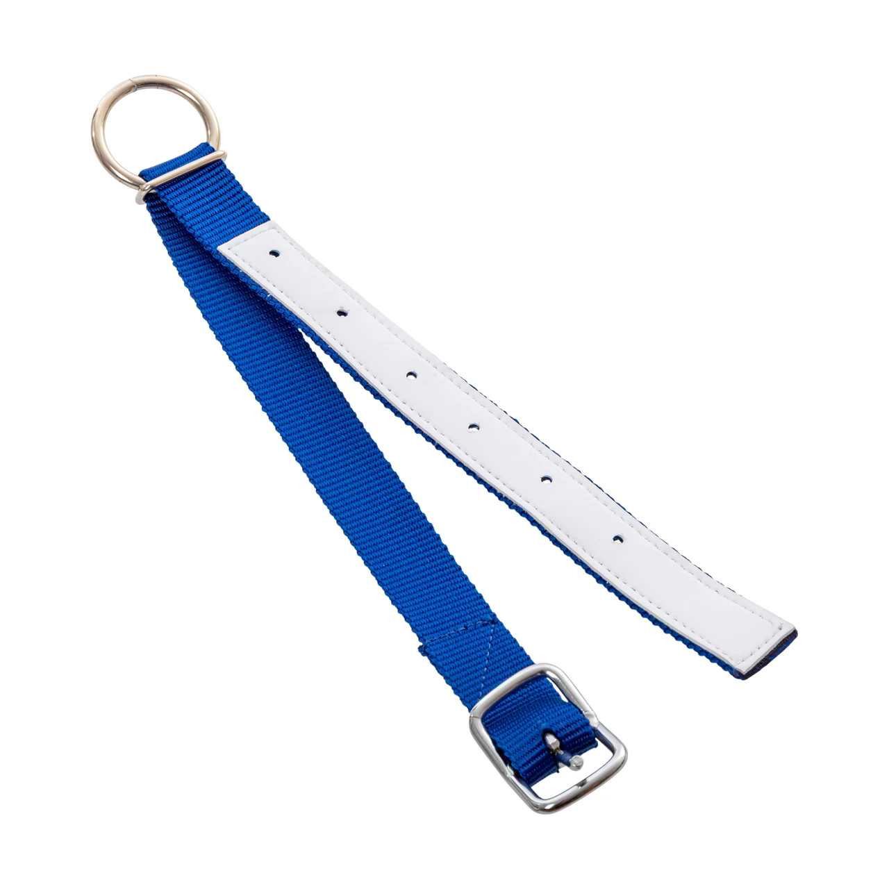 Collare per pecore, blu, 60 cm