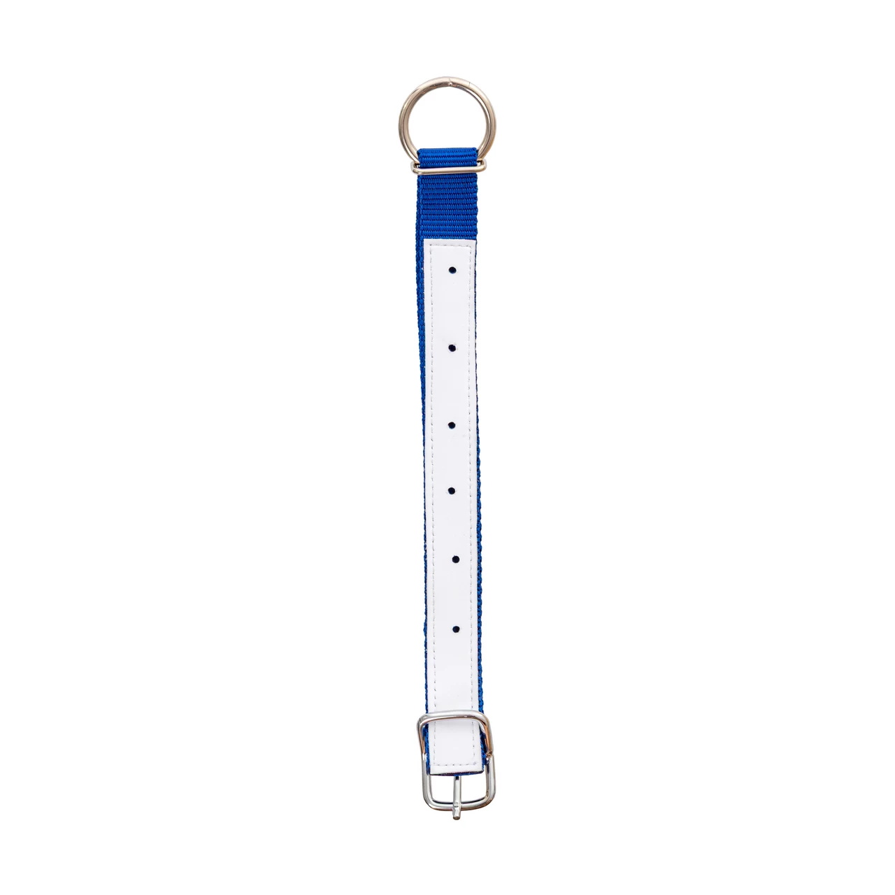 Collare per pecore, blu, 60 cm