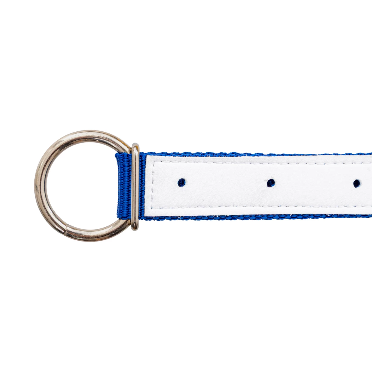 Collare per pecore, blu, 60 cm