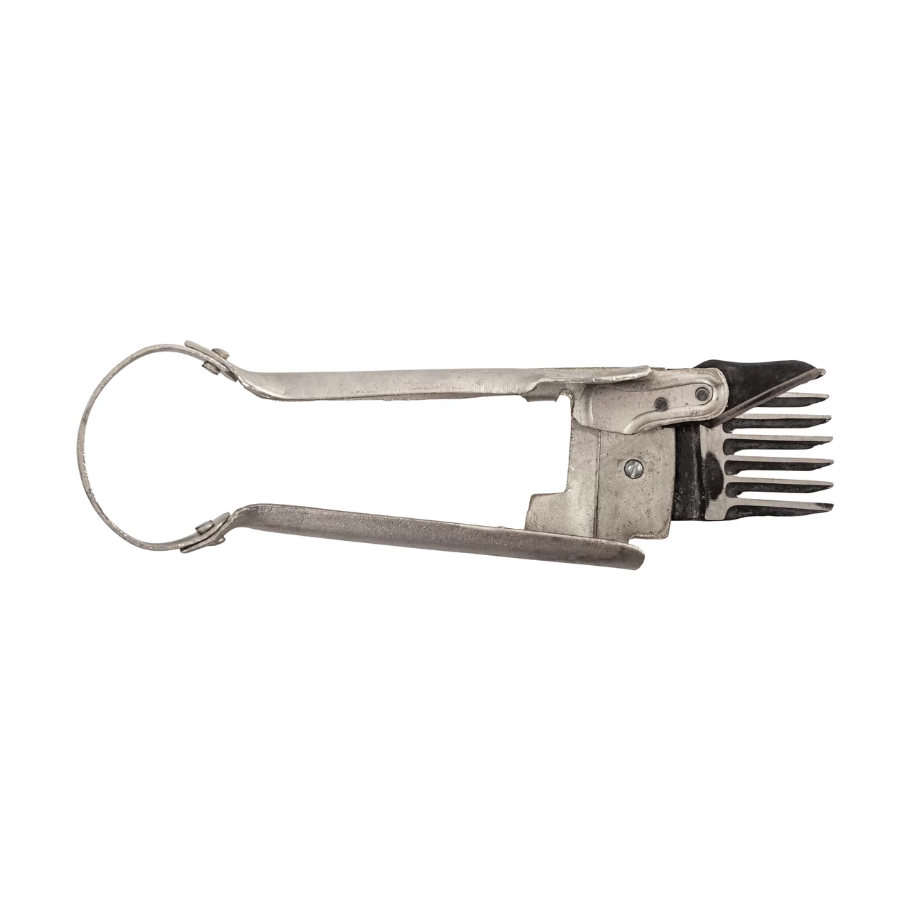 Forbici per tosare le pecore, con denti distanziati, per una tosatura occasionale, 25 cm