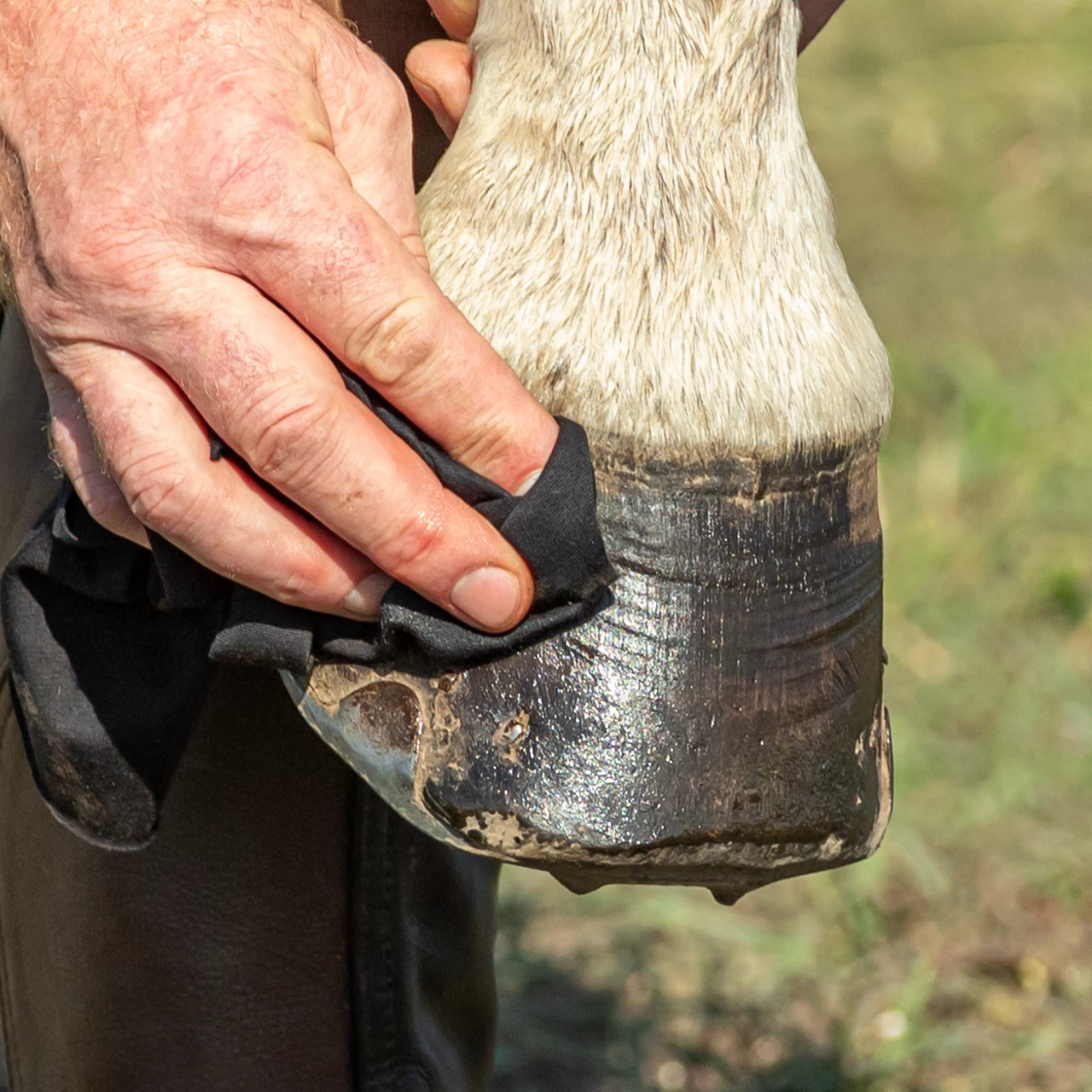Olio per zoccoli, MagicBrush, 500 ml