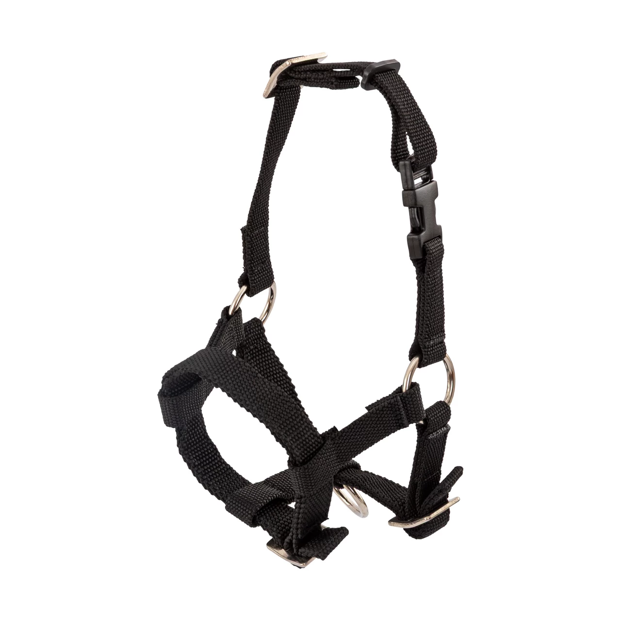 Briglia per alpaca, nero