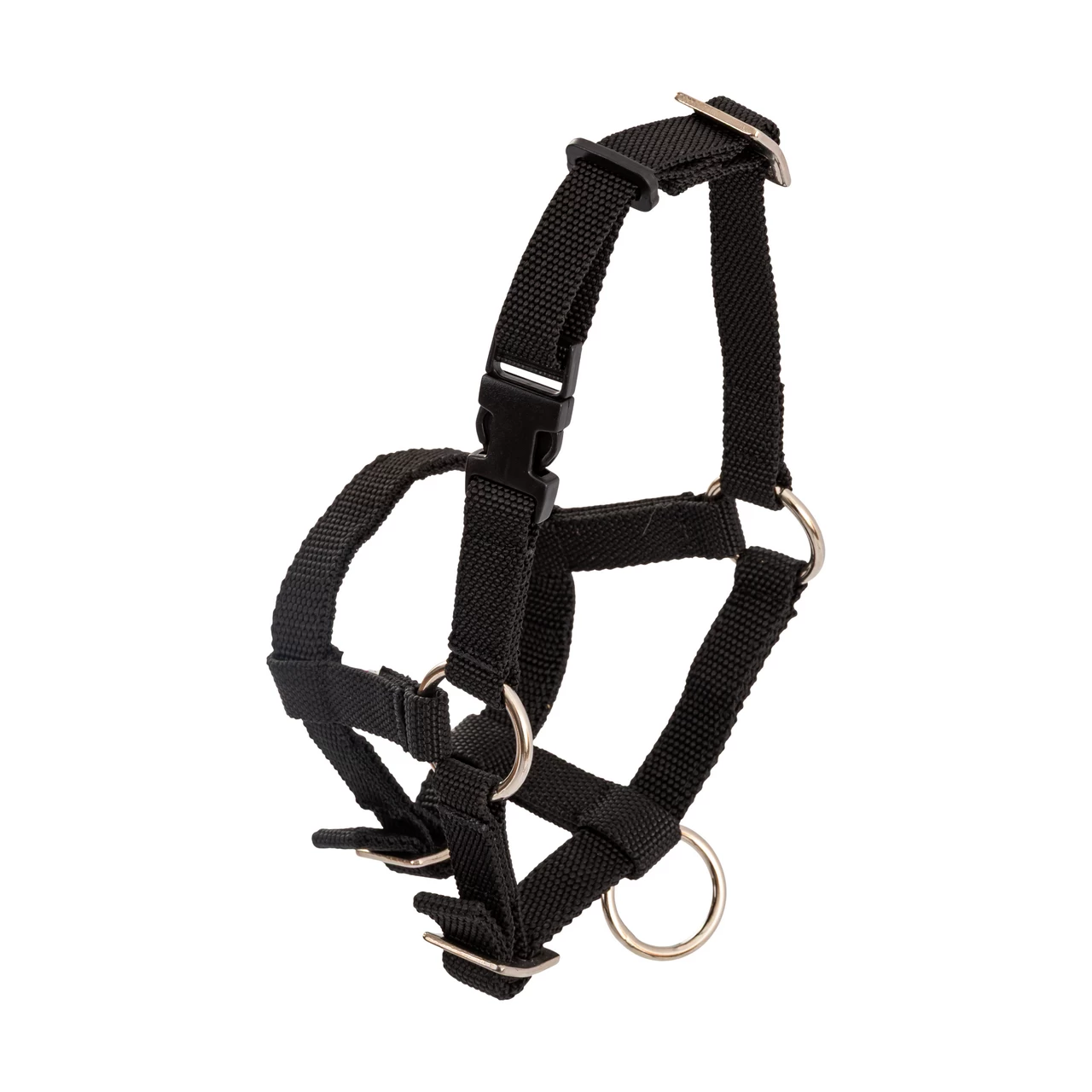 Briglia per alpaca, nero