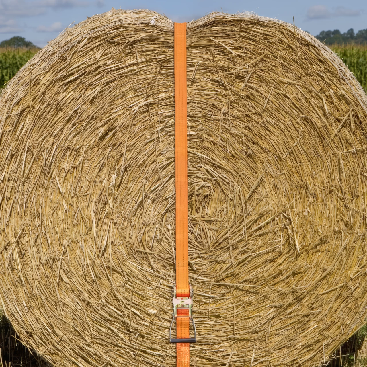 Cinghia di ancoraggio con cricchetto, arancione, 4000 kg, 50 mm × 8 m