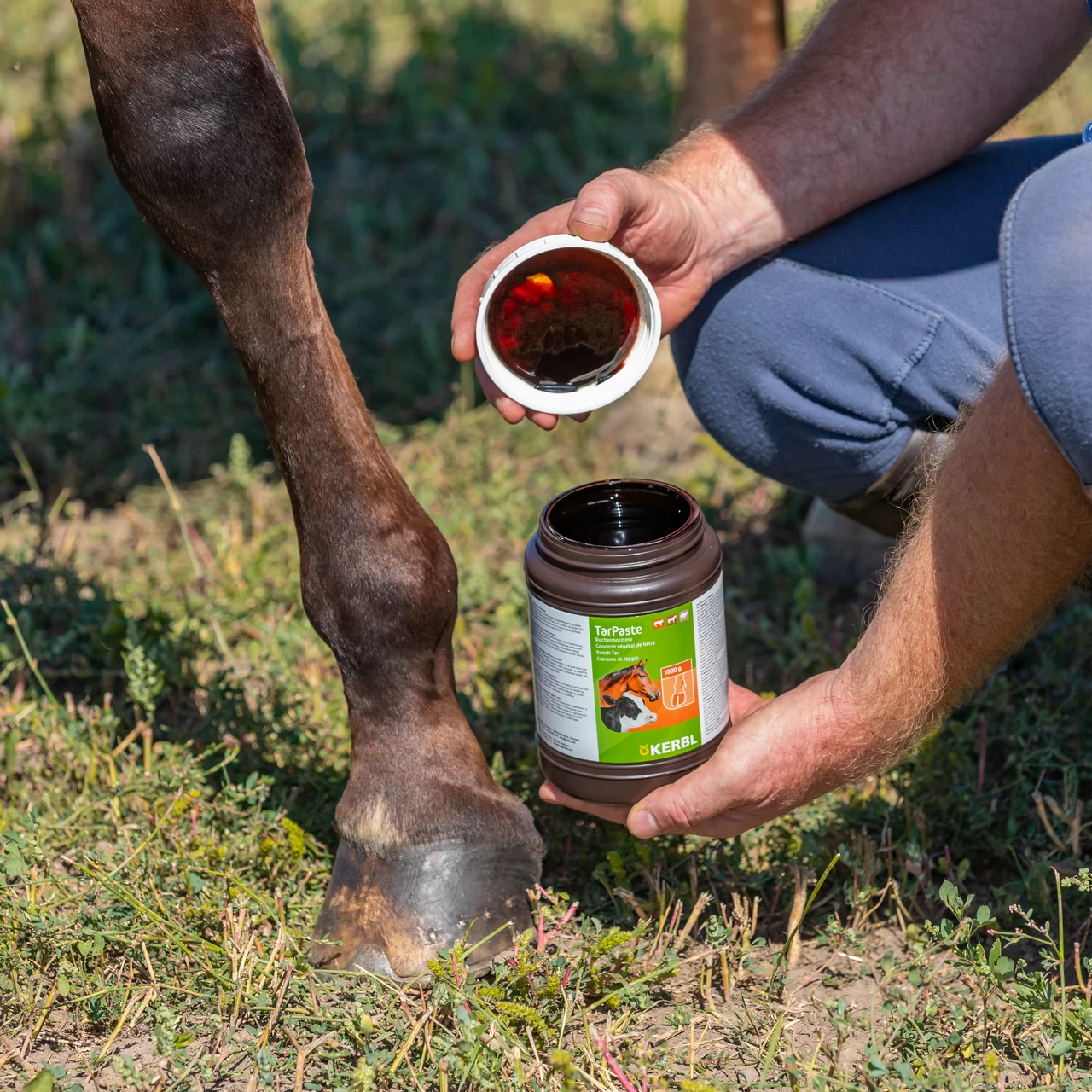 Pasta di catrame di faggio, TarPaste, 1 kg