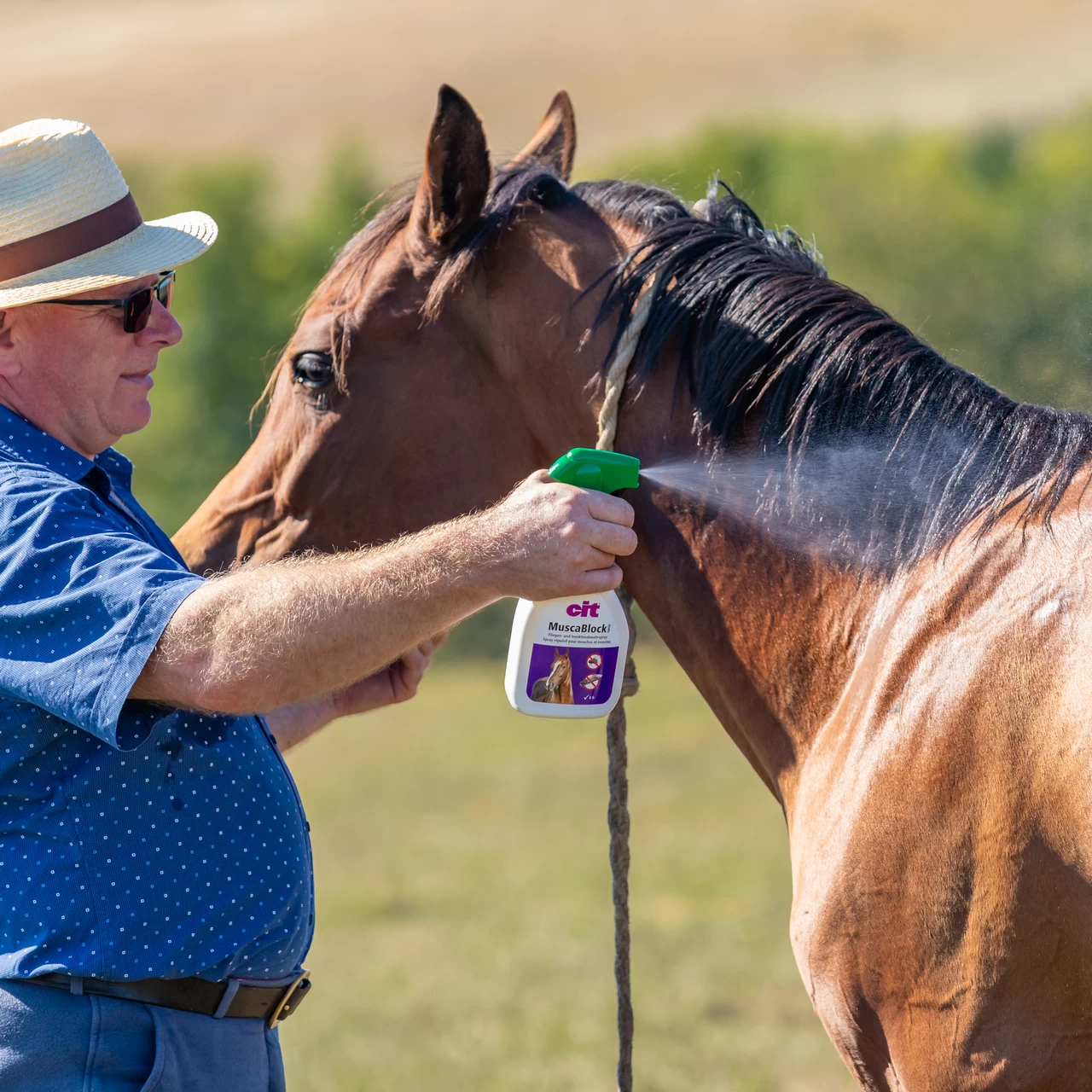 Spray contro le mosche, CIT MuscaBlock, 1 litro