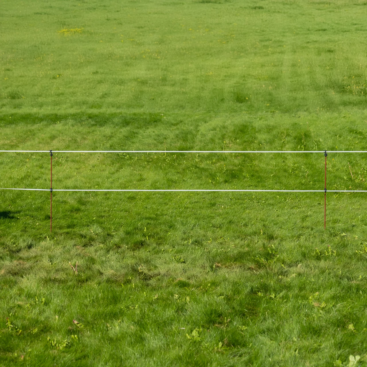 Palo in acciaio per recinto elettrico, Ø8 mm × 107 cm, 30 pz