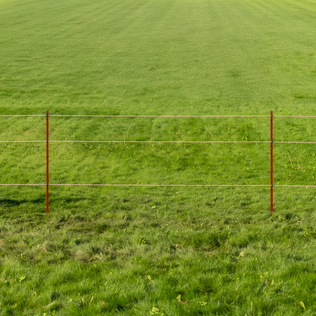 Palo in acciaio quadrato 25 × 25 mm, 150 cm, 10 pz.