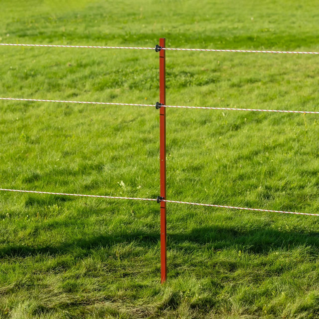 Palo in acciaio quadrato 25 × 25 mm, 165 cm, 10 pz.