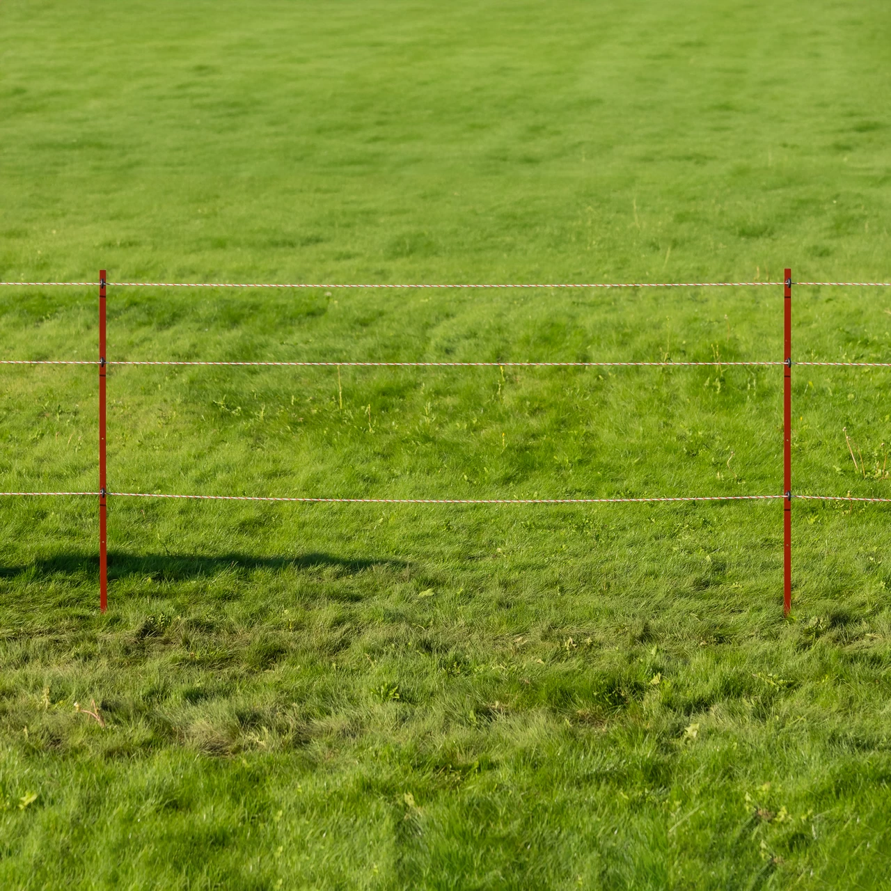 Palo in acciaio quadrato 25 × 25 mm, 165 cm, 10 pz.