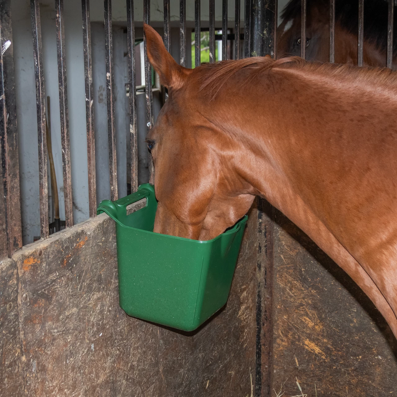 Secchio per l'alimentazione, con staffa di sospensione, forma quadrata, verde scuro, 13 litri