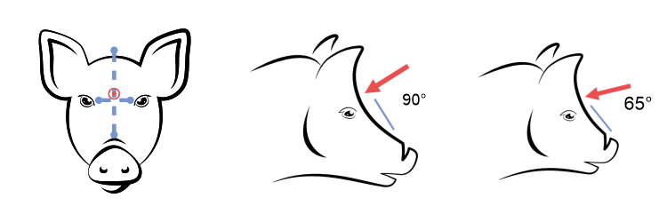 Posizionamento corretto della pistola stordente nei suini