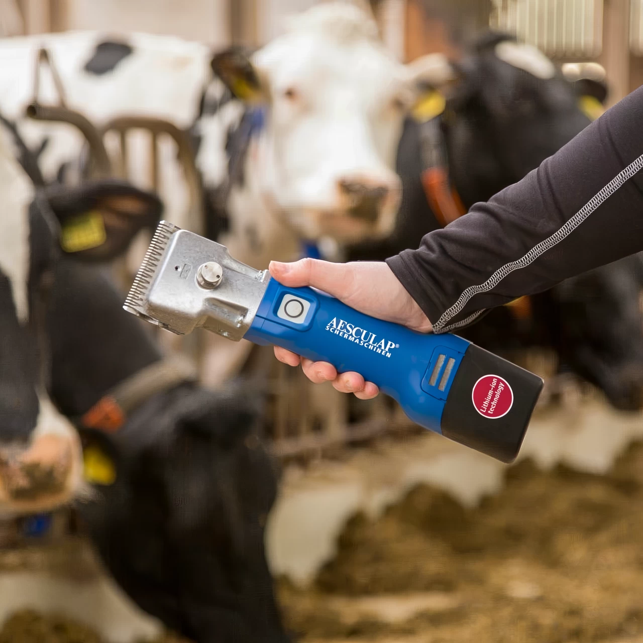 Tosatrice per il bestiame, Aesculap Econom NOVA CL