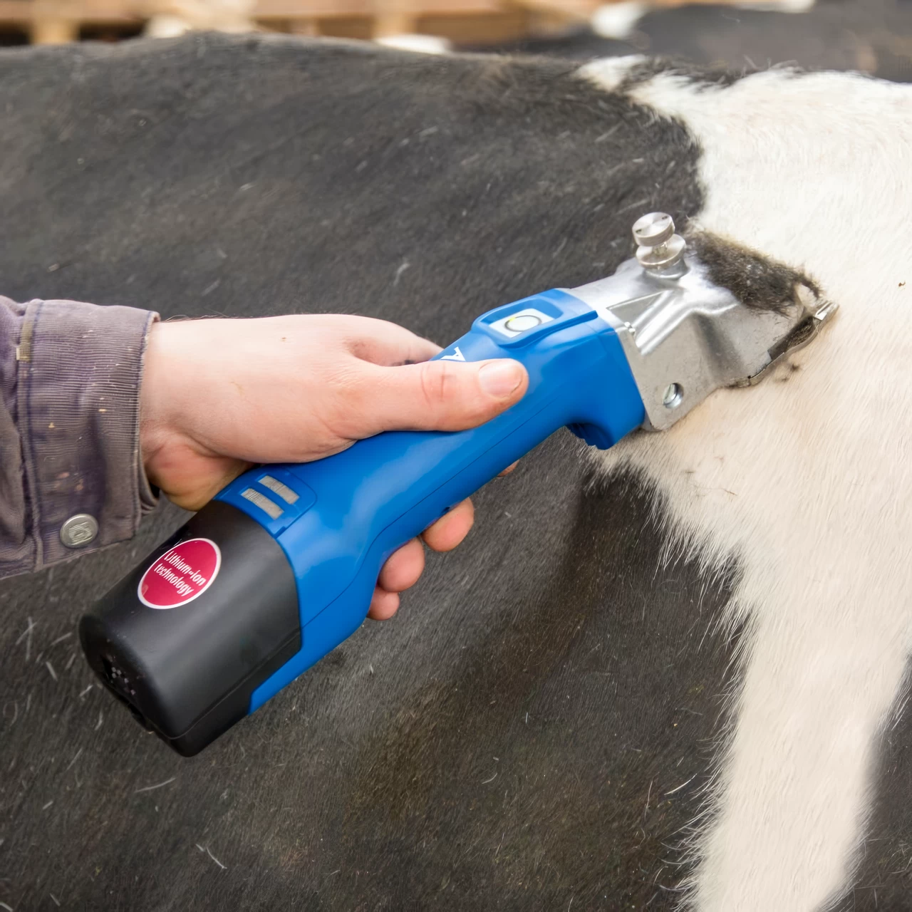 Tosatrice per il bestiame, Aesculap Econom NOVA CL