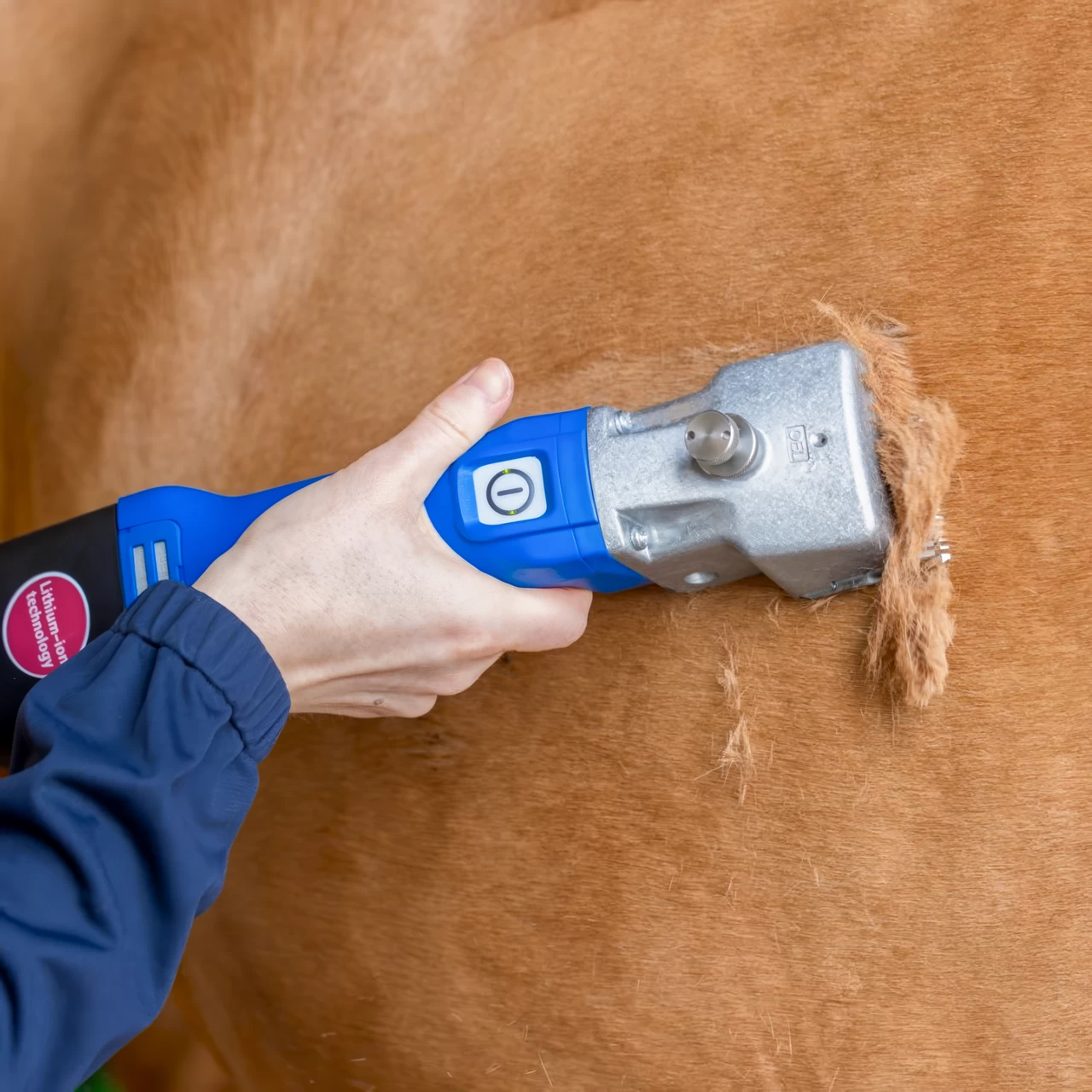 Tosatrice per il bestiame, Aesculap Econom NOVA CL