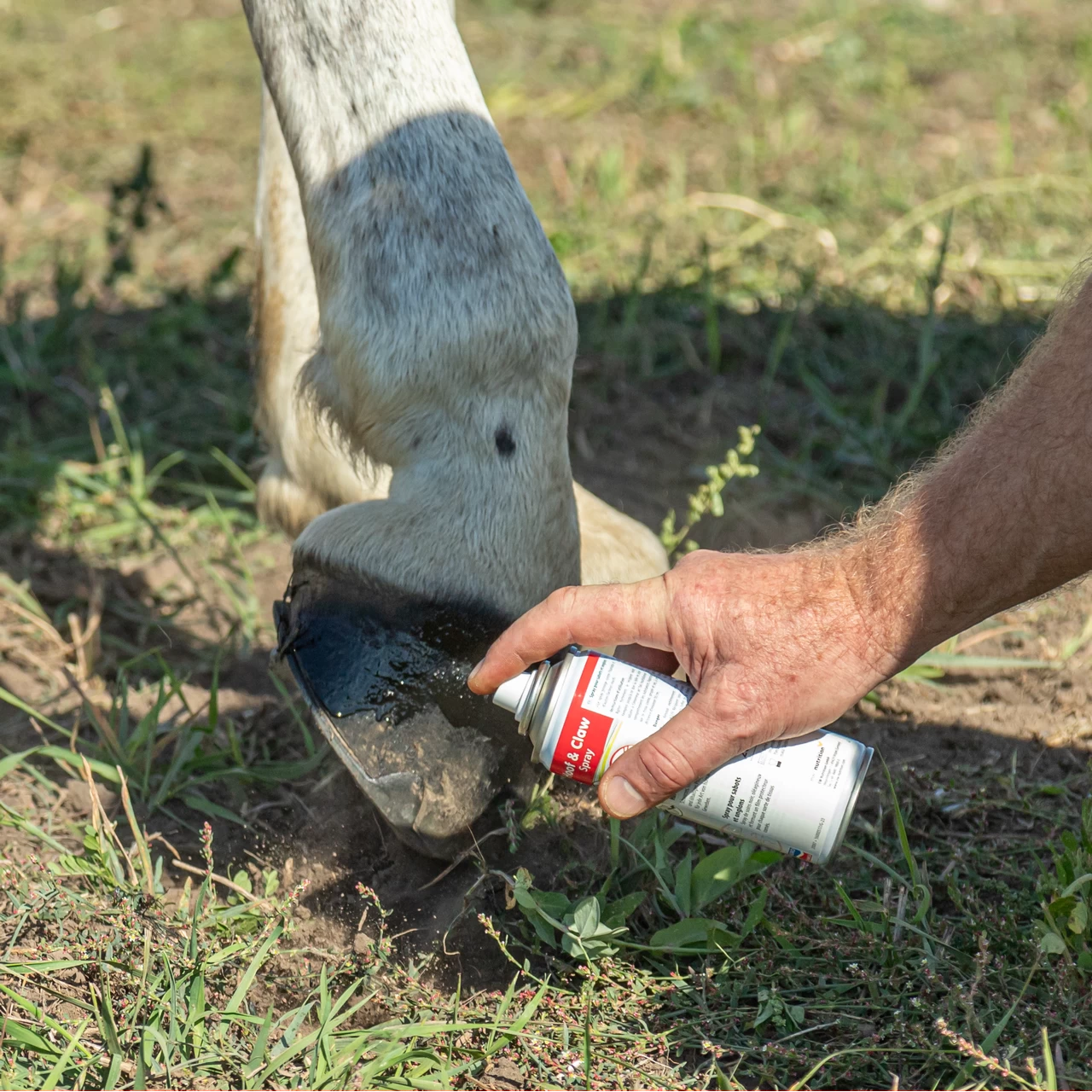 Spray Hoof and Claw, per la cura di zoccoli, artigli e altri tessuti cornei, 200 ml