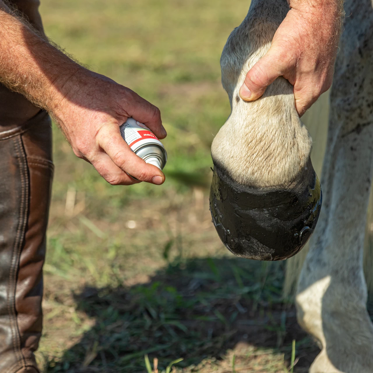 Spray Hoof and Claw, per la cura di zoccoli, artigli e altri tessuti cornei, 200 ml