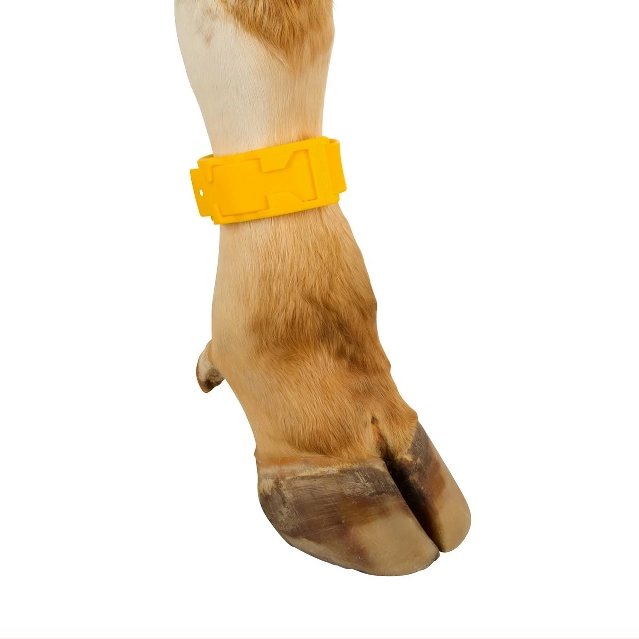 Bracciale a marchio per mucca, plastica, giallo