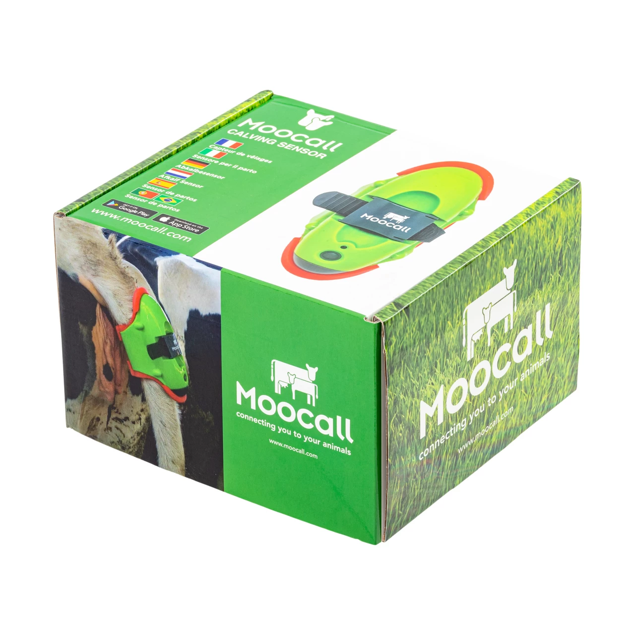 Sensore parto, Moocall